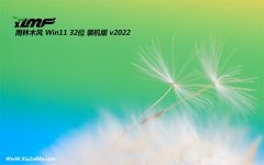 雨林木风v2022.06最新win11 32位光速电竞版 